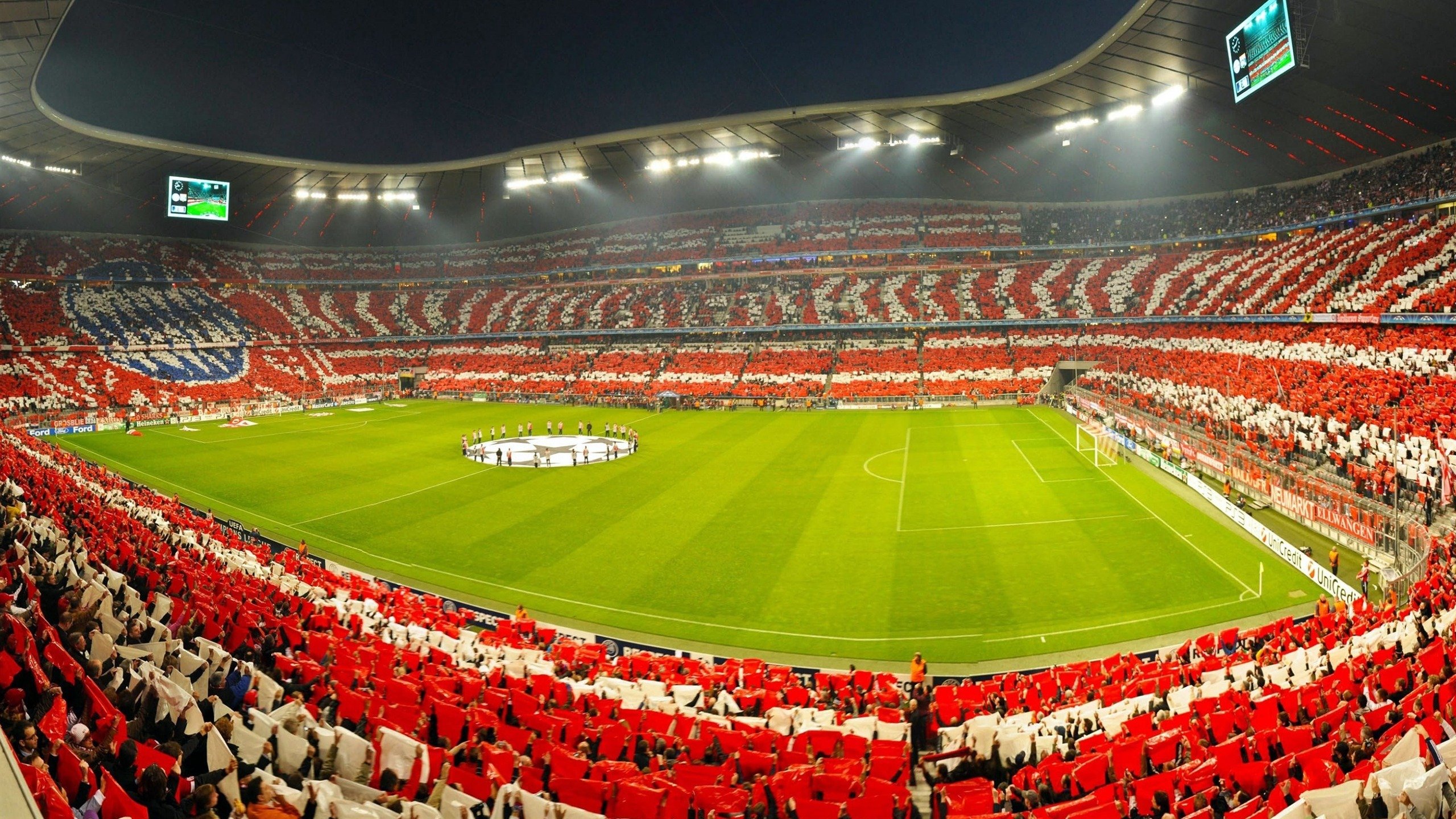 弗朗索瓦·斯图尔特：出色的进攻组织者，带领南非队稳步向前，弗朗索瓦莱特瑞尔